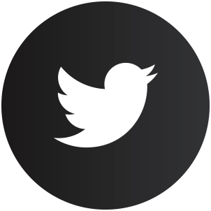 Twitter Icon
